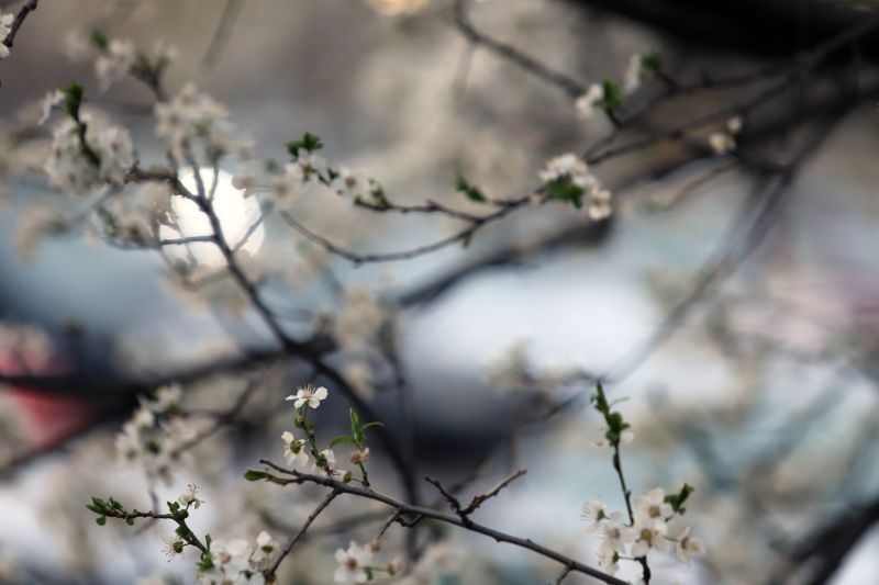 Времето ще е необичайно топло до неделя