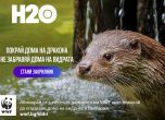 В Деня на реките WWF се заема с опазването на дома на видрата