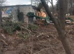 Сеч на дървета в Борисовата градина