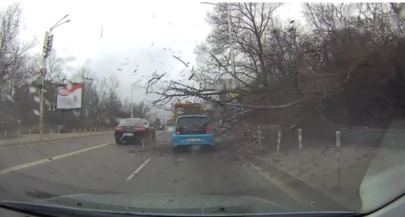 Моментът, в който дървото пада. 