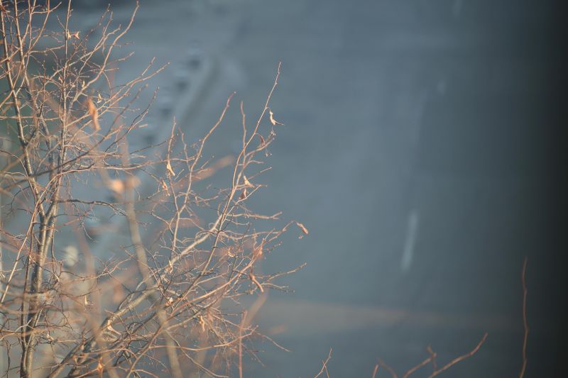 Прогнозата за времето