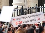 Протест срещу насилието над животни