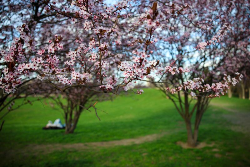 Слънчево време днес