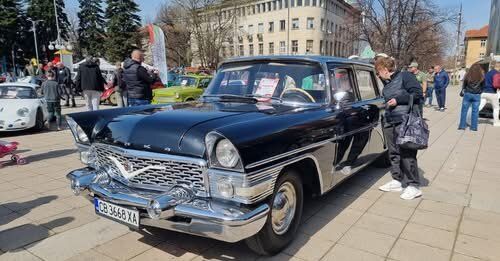 Изложение на ретро автомобили събира дарения за общински приют за кучета в Кюстендил