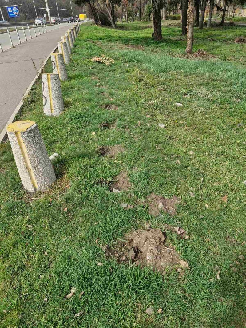 Мястото на изкоренените финданки