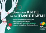 Завържи вътре, за да цъфне навън: Как Пловдив празнува традициите в тон с природата