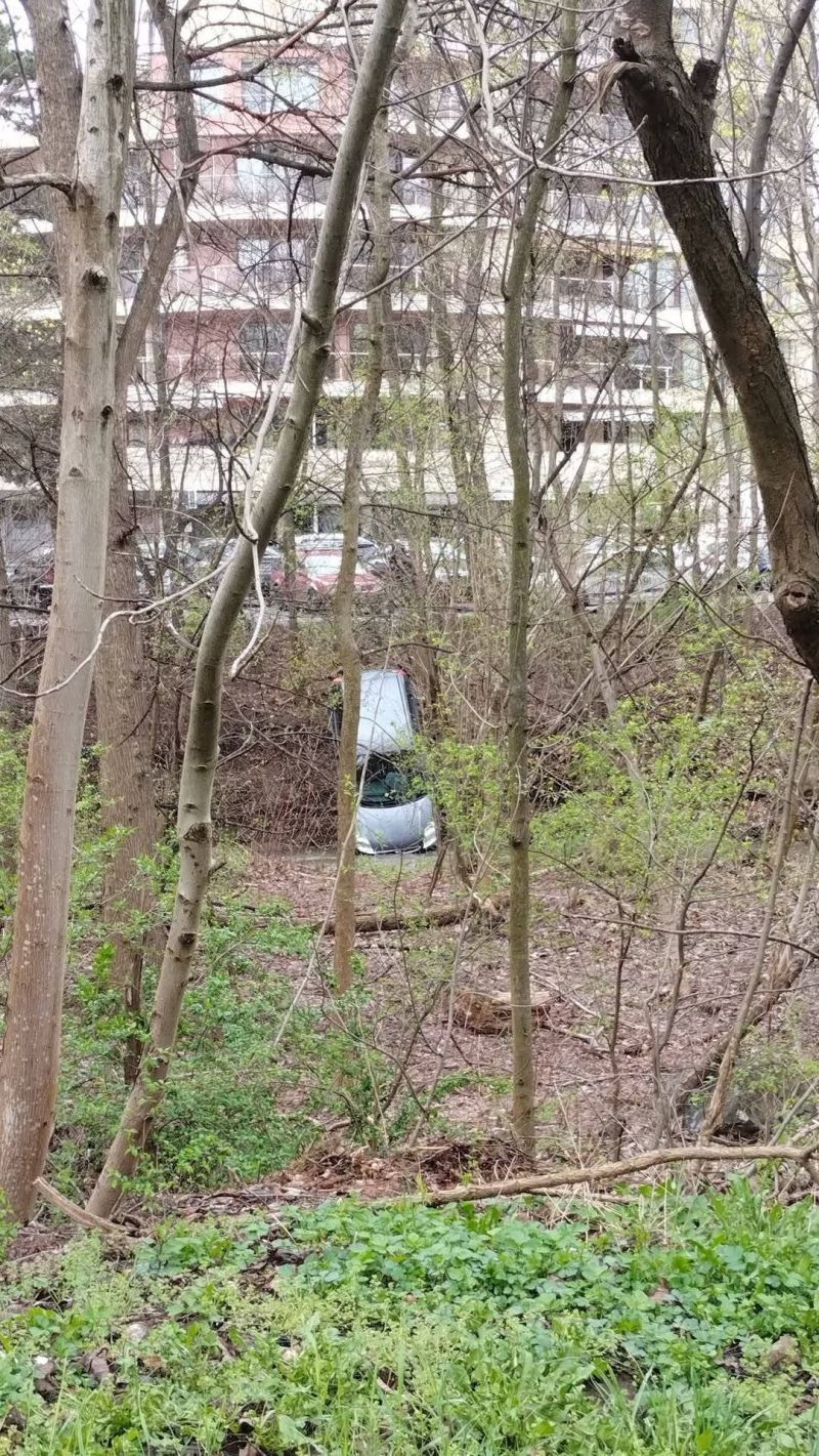 Кола падна в дере край Южния парк