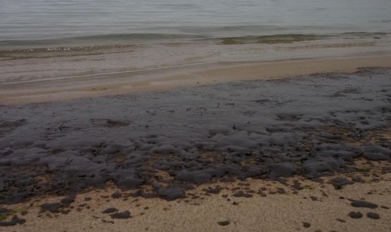 Мазут на варненския бряг