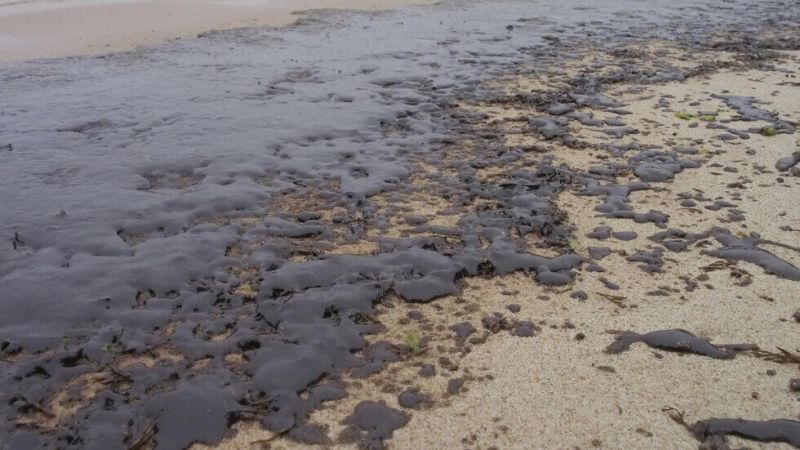 Разливът във Варна