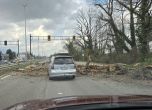 Дърво падна върху Цариградско шосе, пострада бус на съдебната власт