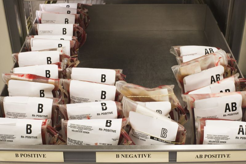 Кръвна група