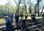 Всеки може да се включи в дейностите по залесяване 