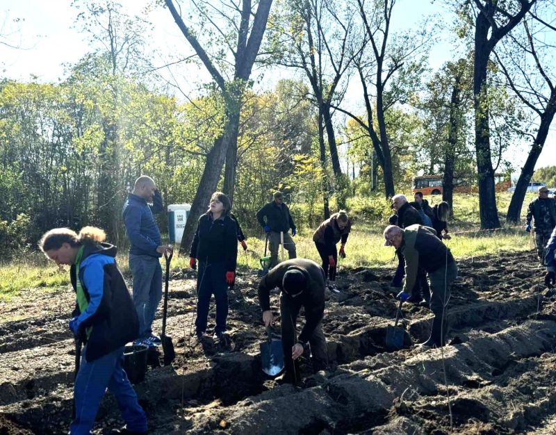 Всеки може да се включи в дейностите по залесяване 