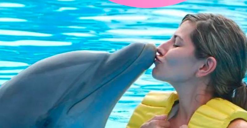 Делфинариумът във Варна