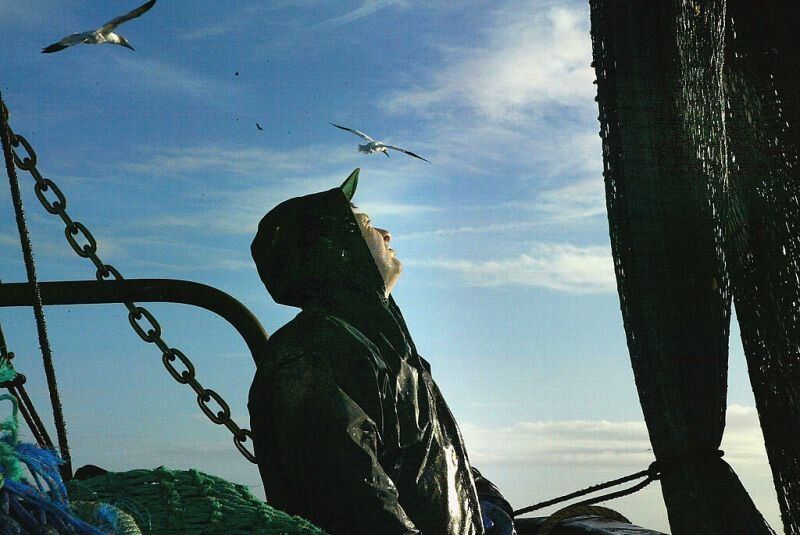 Риболовът по Дунав и в Черно море е забранен от днес