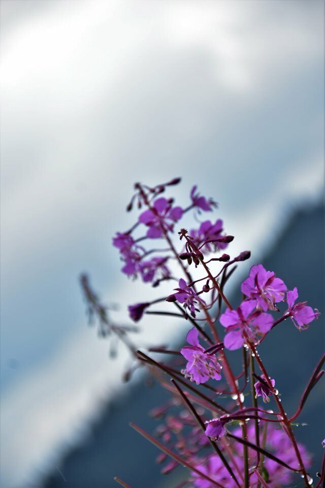 Времето се затопля