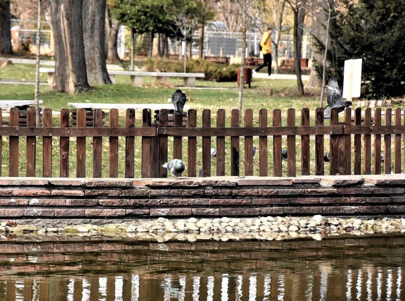 Борисовата градина в София