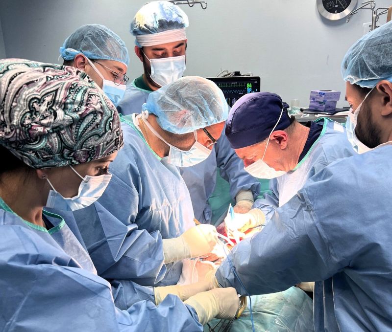 трансплантация