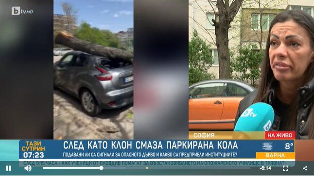 паднало дърво