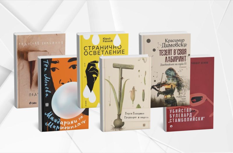 Роман на годината