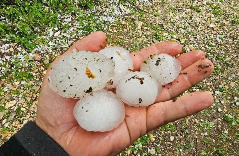 Описват щетите от градушката в Асеновградско вчера