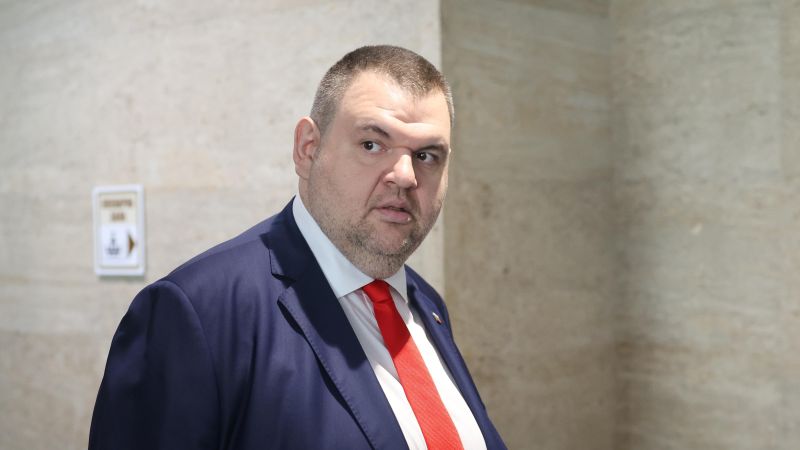 Делян Пеевски, ДПС-НН