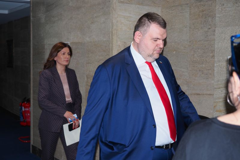 Ертен Анисова и Делян Пеевски, ДПС-НН