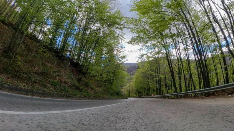 Петрохан бе затворен и през април заради сеч на дървета