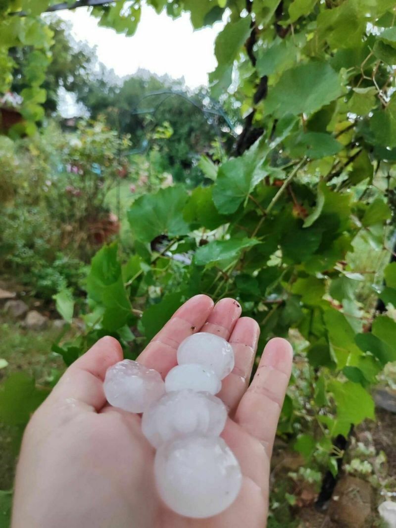 Архивна снимка