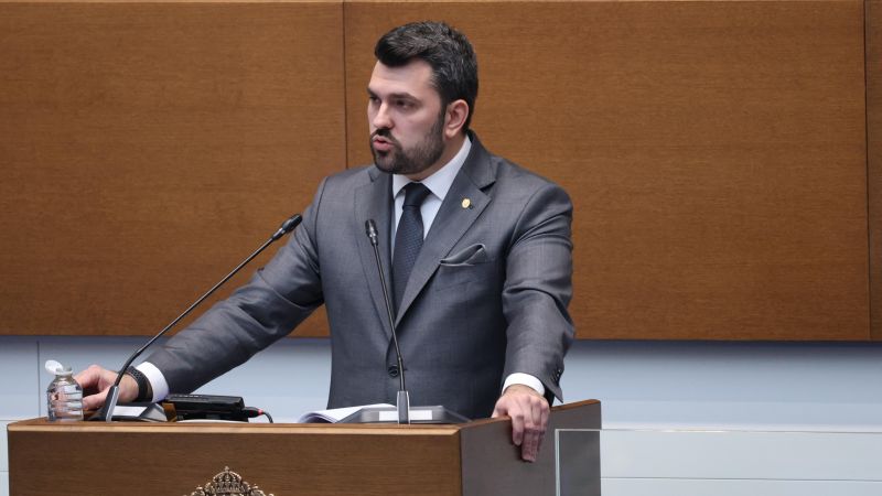 Георг Георгиев в НС