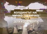Чичко Тревичко