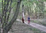 Мъж тича край примамката за черния леопард