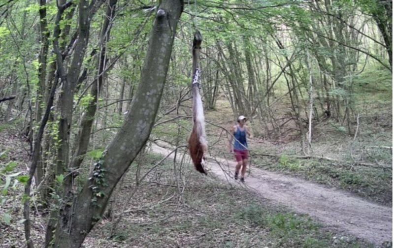 Мъж тича край примамката за черния леопард