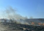 Пожарът край Бургас