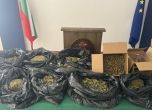 Заловената марихуана
