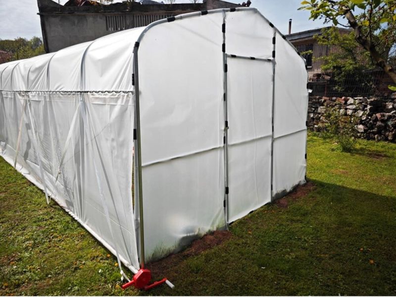 Защо все повече българи избират оранжерии