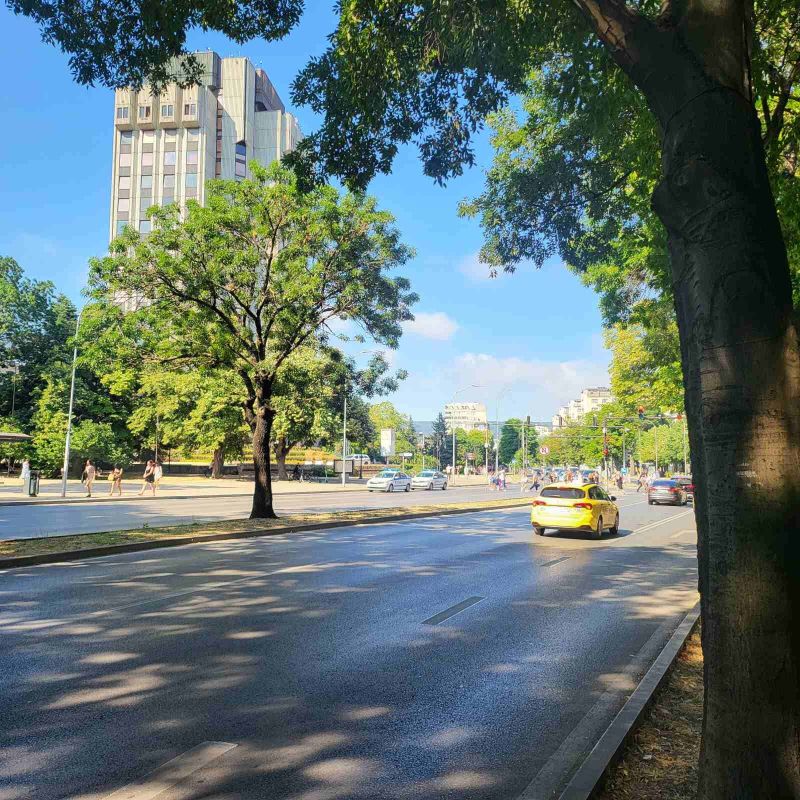 Патрулки пред Община Варна по време на акцията