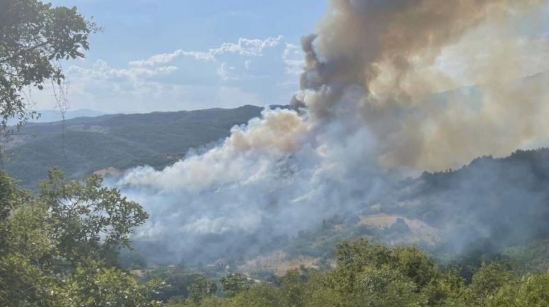Пожар в Пирин