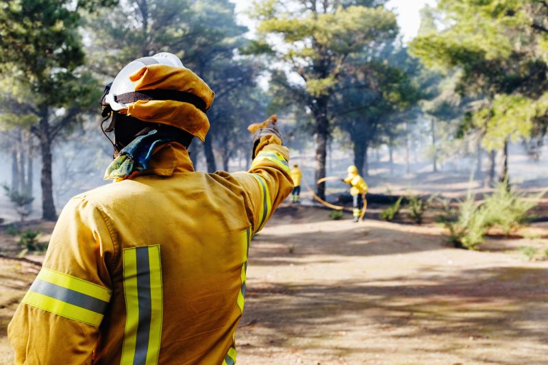Горски пожарникари