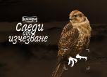 Кампания Следи от изчезване