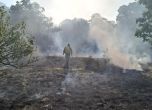 Пожар край Сливница
