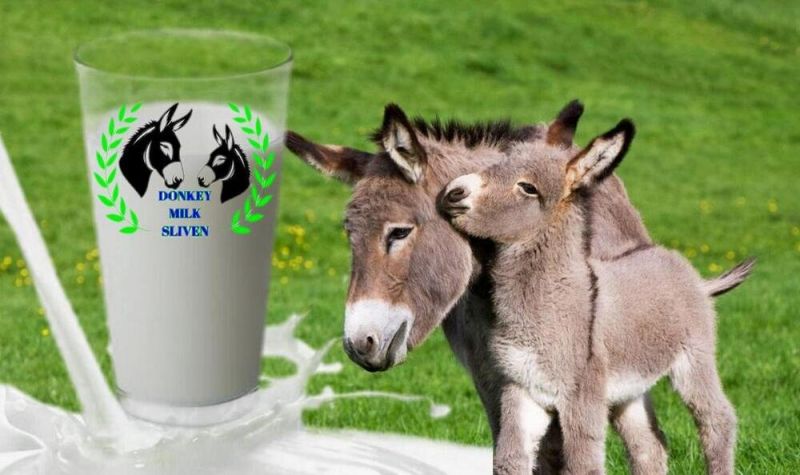 магарешко мляко