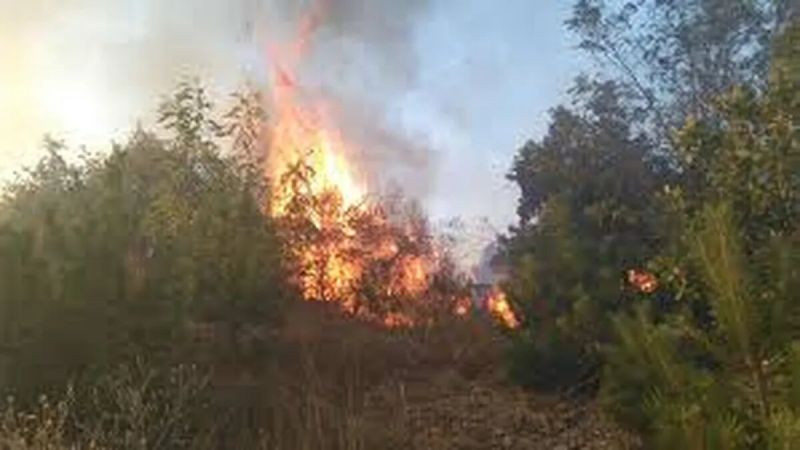 Пожарът в Костинброд