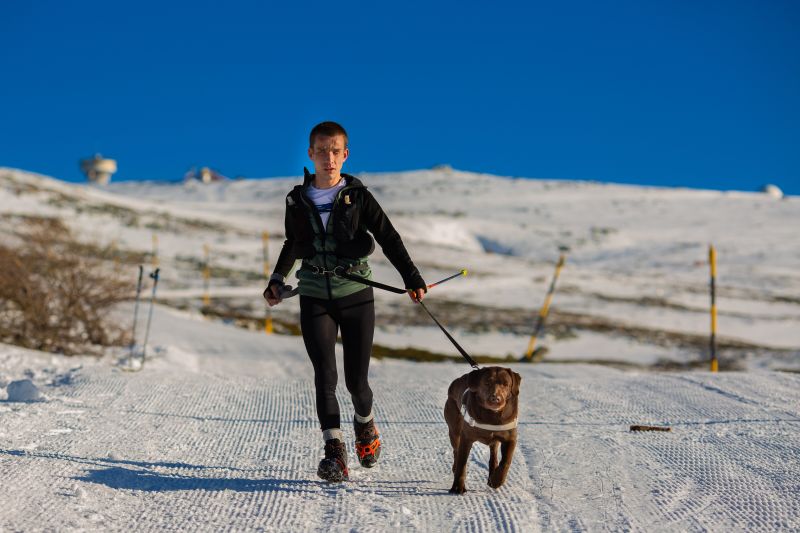 Виктор Асенов