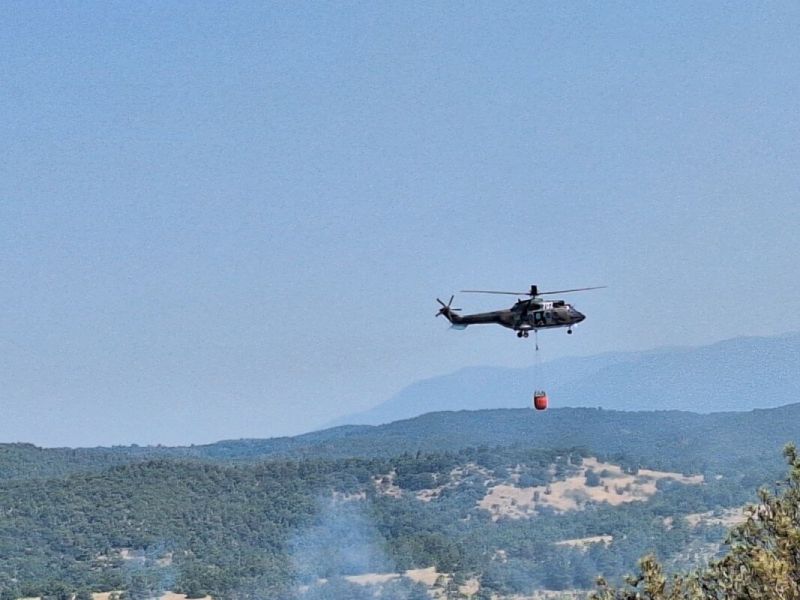 Пожарът в землището на село Илинденци 