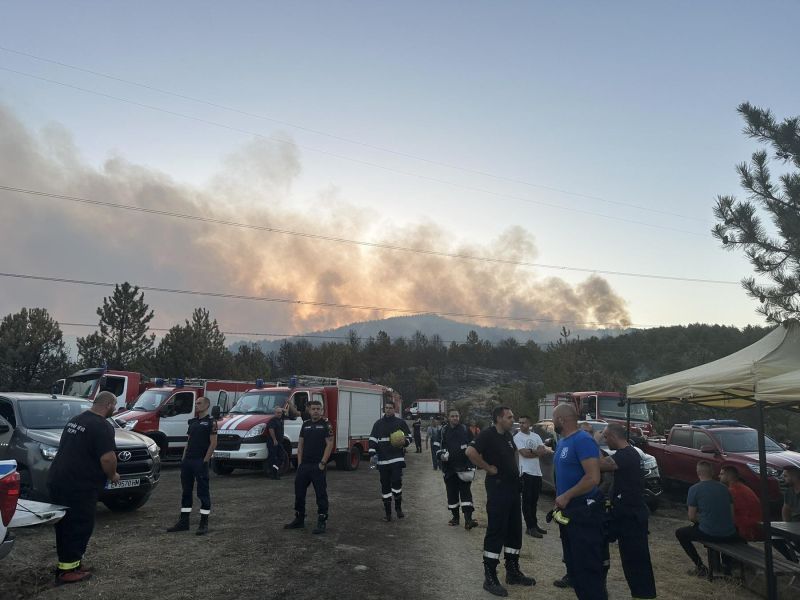 пожарникари