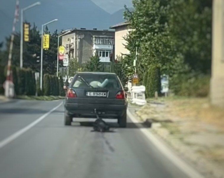 Куче завързано за автомобил