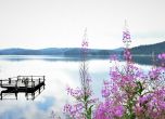 Времето през август