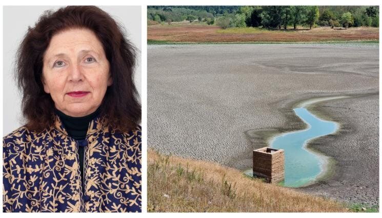 Доц. д-р инж. Галя Бърдарска