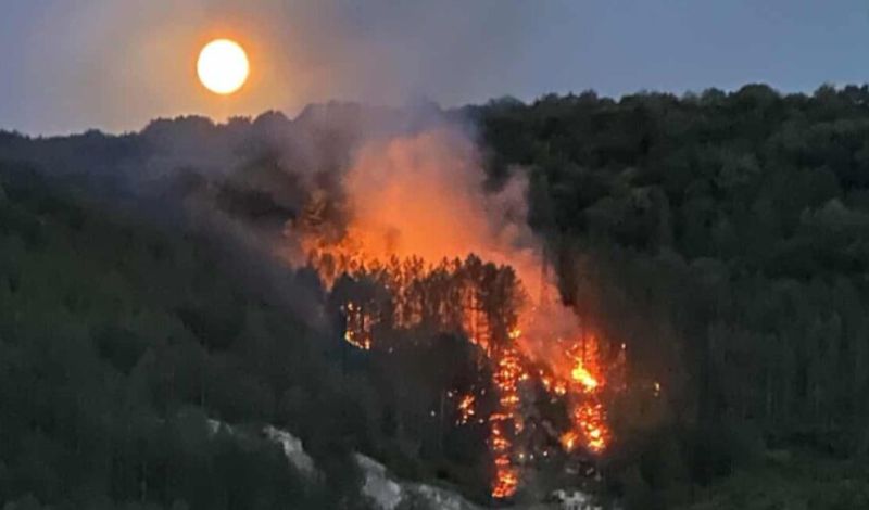 Огънят е пламнал в борова гора, на около километър след края на града